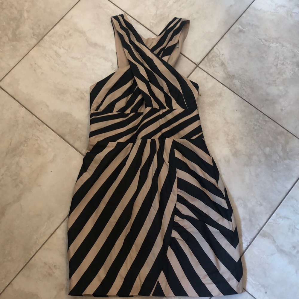 Leifsdottir Black and Tan stripe cotton dress